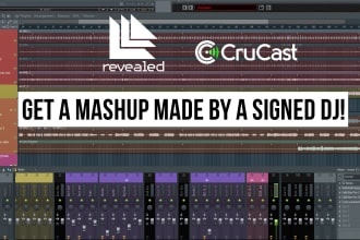 create a professional song mashup