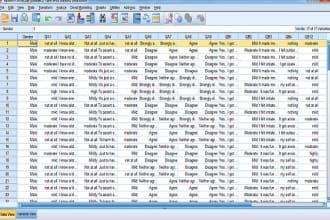 do spss data entry