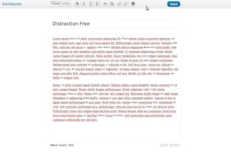 provide Word Press Editor To Your Website