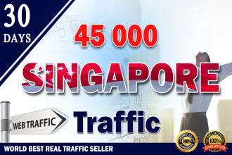 bring unlimited organic targeted singapore web traffic