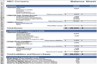 prepare financial forecasts and financial statements