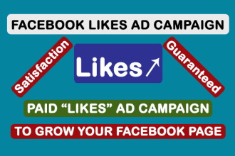 run a facebook ad campaign to grow page likes
