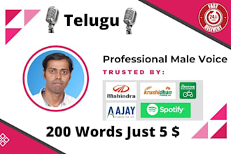 do professional telugu male voice over at low price