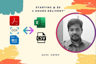 do any excel data entry