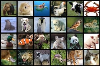 record myself making any animal noise of your choice for 30 seconds