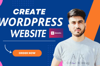 build professional wordpress website design or blog