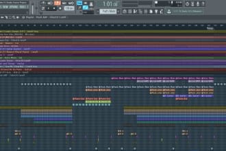 produce a song for you