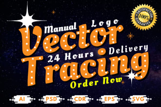 recreate the logo, redraw, and vector tracing in a vector file