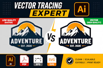 trace, redraw, vectorize logo, convert image to vector