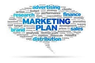 assist in editing your business reports and market research