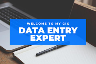 provide excellent services in data entry and web research