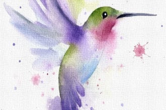 design any canvas wall art, invitations, and greeting cards