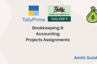 bookkeeping and accounting for you in tally erp