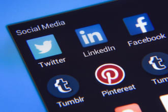 optimize pinterest, facebook, and instagram shop for success