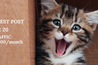 guest post on my authority pets cats blog da 20