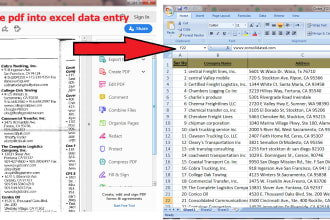 type and copy paste PDF into ms excel data entry