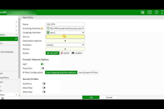 your network engineer to configure site to site ipsec and ssl vpn