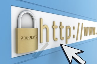 fully test your website for vulnerabilities by real qualified IT group and using top of the line softwate plus report