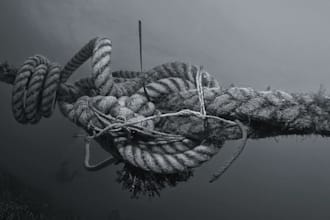 cut negative cords of attachment