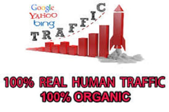 drive 2000 real target usa visitors from facebook every day for a week