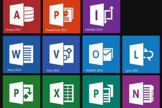 serve projects for you in ms word and ms excel