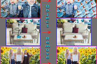 add or remove object from images