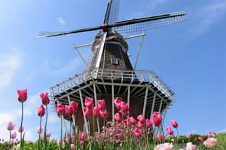 translate your english text into dutch