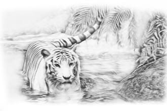 draw realistic pencil sketch for any book