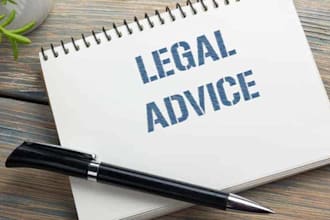 provide professional legal advice