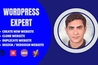 build, design or redesign wordpress website, rebuild wordpress elementor website