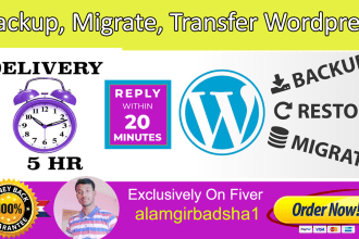 backup, migration, transfer big wordpress website in 2 hours