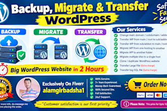 backup, migration, transfer big wordpress website in 2 hours