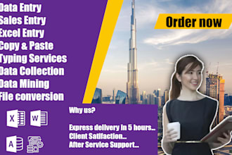 do data entry, sales data entry, excel, access, web research in 24 hours
