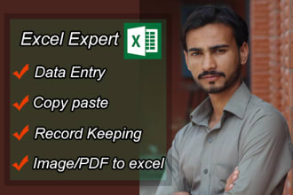 data entry excel spreadsheet copy paste web research