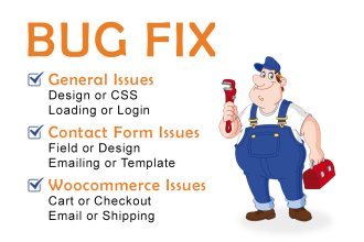 do wordpress bug fix, contact form, woocommerce fix