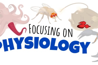 help you in human and animal physiology