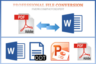 do data entry, file conversion, retype, pdf, scan to word