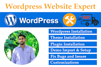 wordpress installation, theme demo import, setup, customization