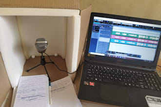 create engaging audio ads in hindi and english in my voice
