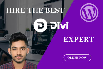 create any responsive wordpress website using divi theme