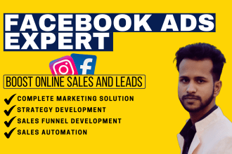 setup and manage facebook and instagram ads campaign