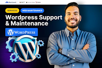 provide monthly wordpress maintenance, support, and help