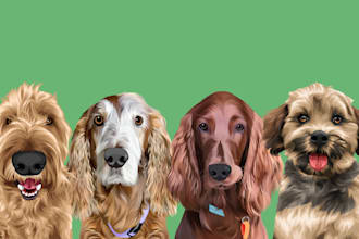 make pet potrait from your photo