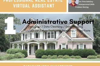 do admin work, data entry, telemessaging for real estate