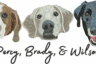 do embroidery digitizing into dst,pes,jef file in few hours