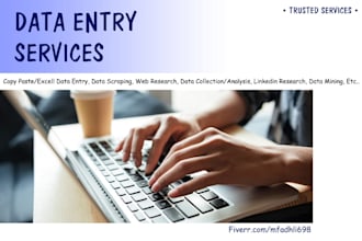 be your trusted professional assistent for data entry