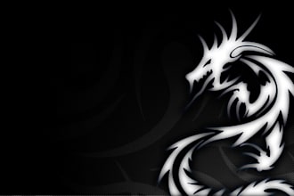 design 2 logo in 24 hours