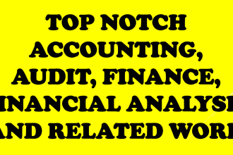 do accounting, audit, business and finance related work