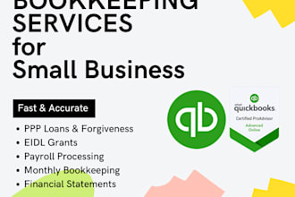 do bookkeeping, track eidl and ppp proceeds, run payroll