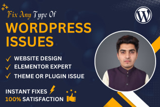 fix wordpress issues, error, edit, elementor pro help, divi website design